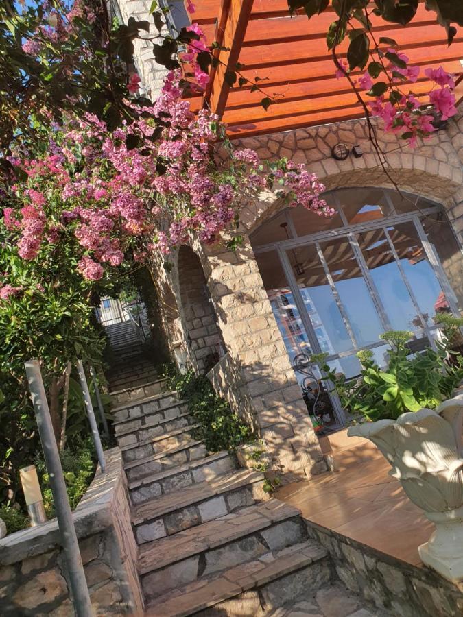 Vila Vito Apartment Dobra Voda Exterior photo